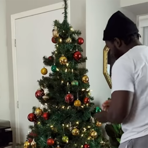 Creative Expert David Decorating Christmas Tree
